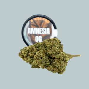 Flor Amnesia OG CBD