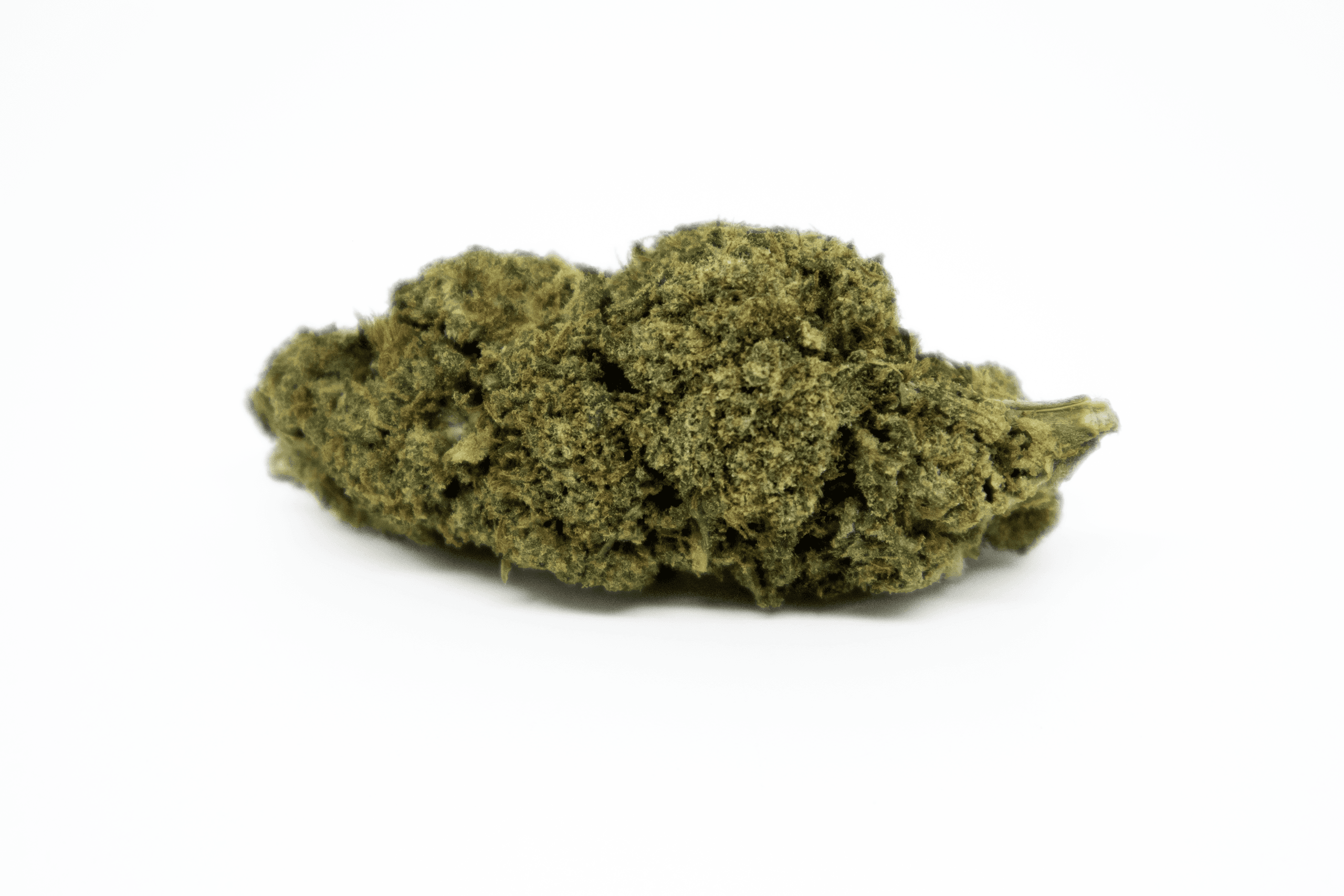 Flor Mimosa Premium CBD - Imagen 2